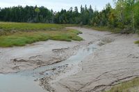 mud creek
