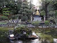 temple pond