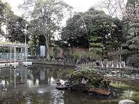 temple pond