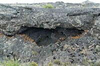 lichen lava