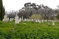 tulbagh grave