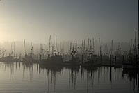 morning harbor